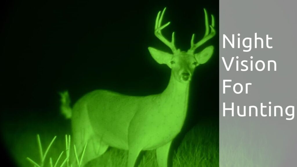 What Do You Need To Know About Night Vision For Hunting?