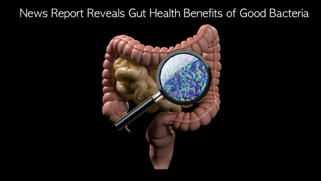 News Report Reveals Gut Health Benefits of Good Bacteria