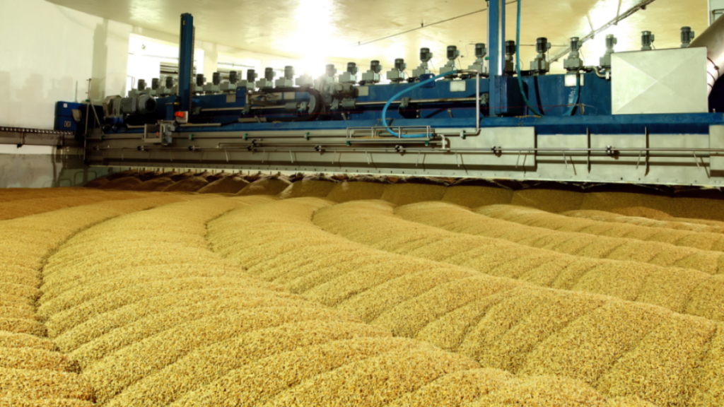 Simple Steps to Start Malt Processing Business