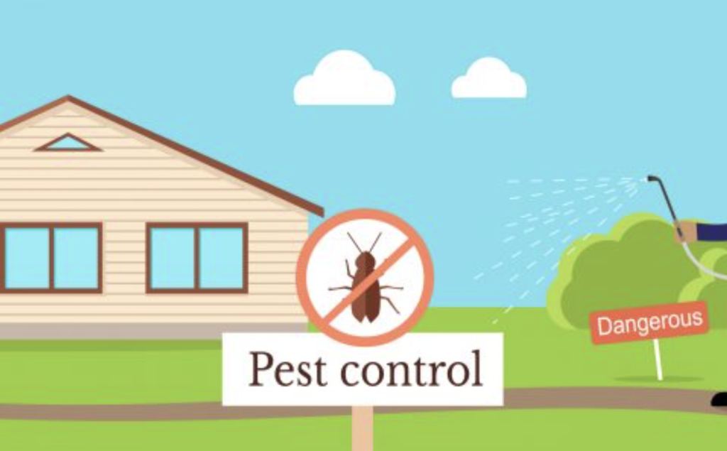 5 Serious Damages Pests Can Cause In Your Home And To Family Members