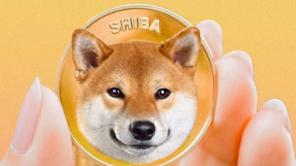 SHIBA INU REBOUNDS 40% DESPITE MAJOR SELLING BY MAJOR WHALES