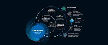 The Various Facets of the SAP Data Lake