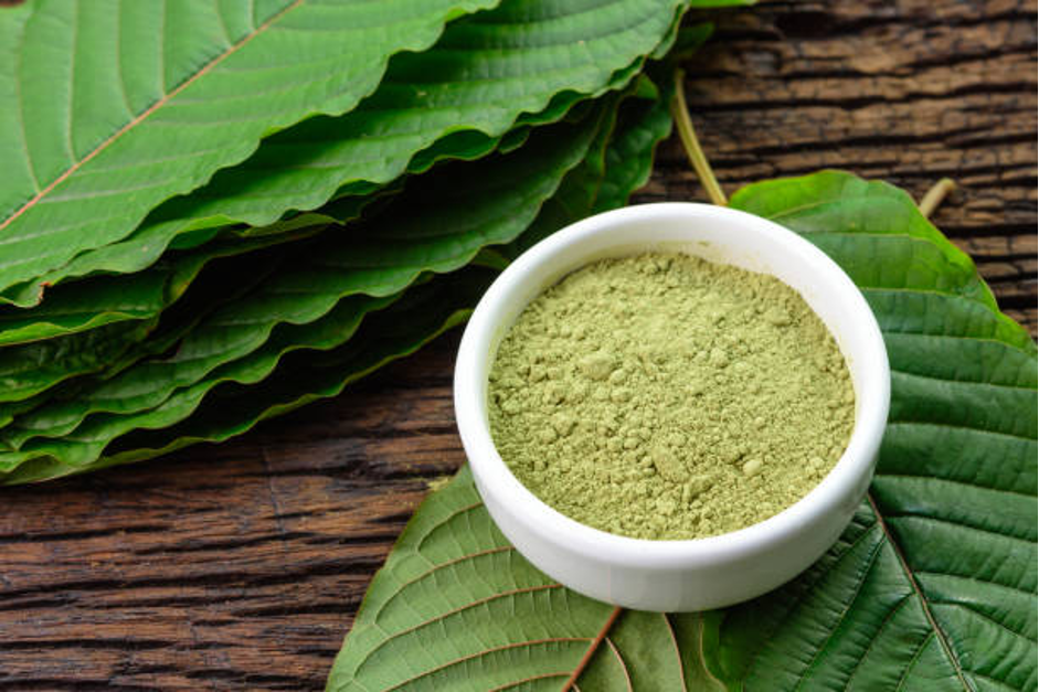 10-Health-Benefits-Of-Mitragyna-Speciosa