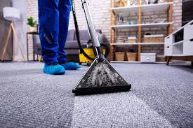 Best Carpet Cleaning Company In London How To Choose The Right One For You