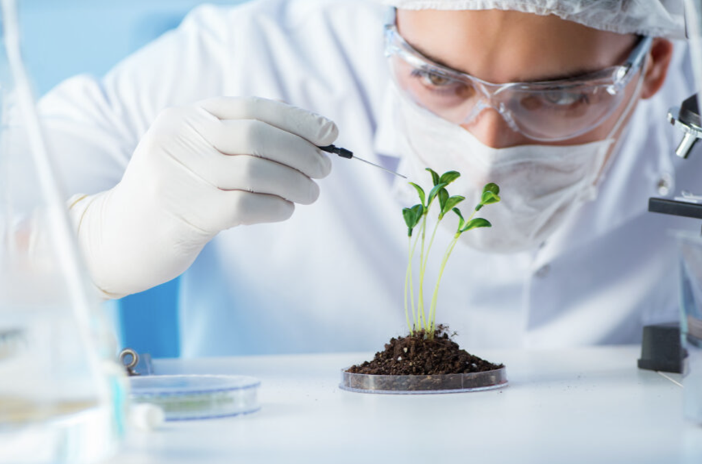 10 Application of Biotechnology that are Changing the World