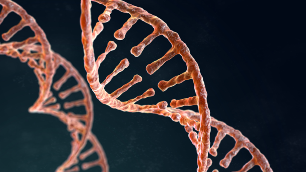 Nucleic Acid Extraction Methods Comparison Magnetic Beads Vs. Solid-Phase and More