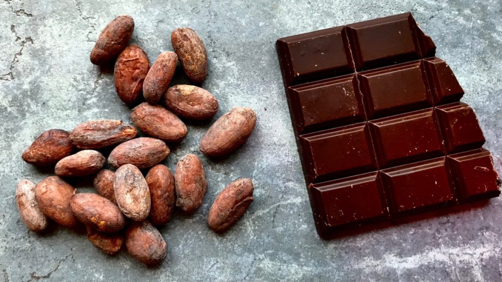 From Bean to Bar The Fascinating Journey of Crafting Gourmet Chocolate