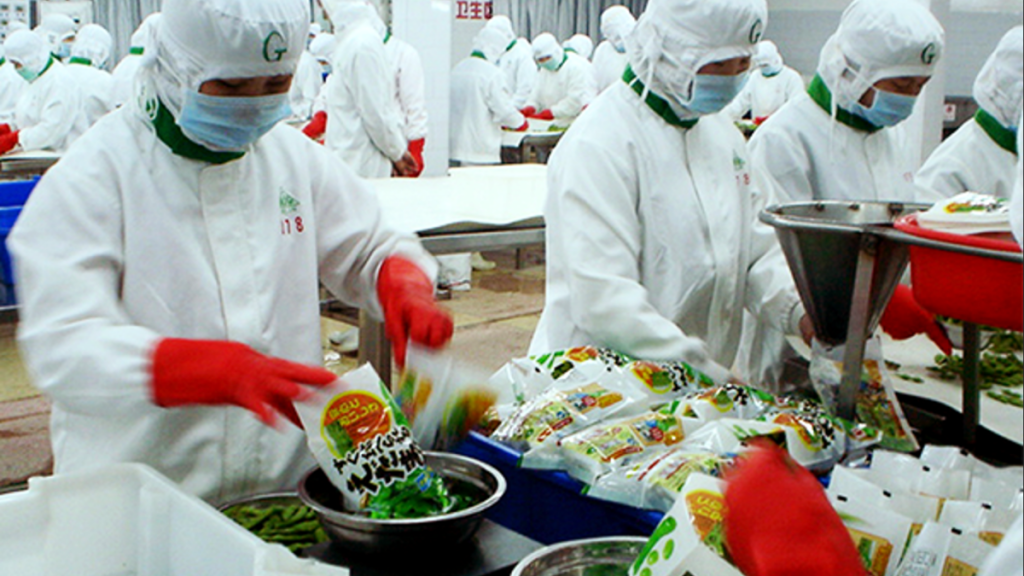 Food Safety of Frozen Food How a Professional Frozen Food Wholesale Supplier Do?